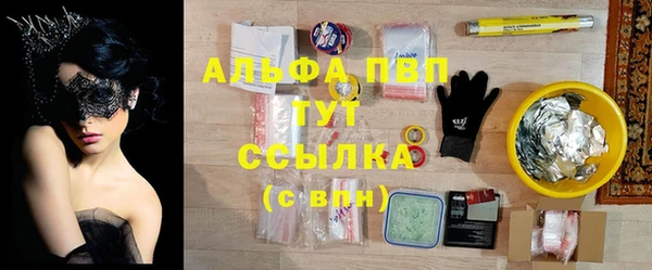 гидра Алексеевка