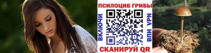 Псилоцибиновые грибы мухоморы  закладки  Кологрив 