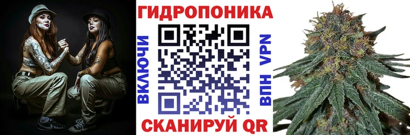 kraken как зайти  Кологрив  Канабис THC 21%  цена наркотик 